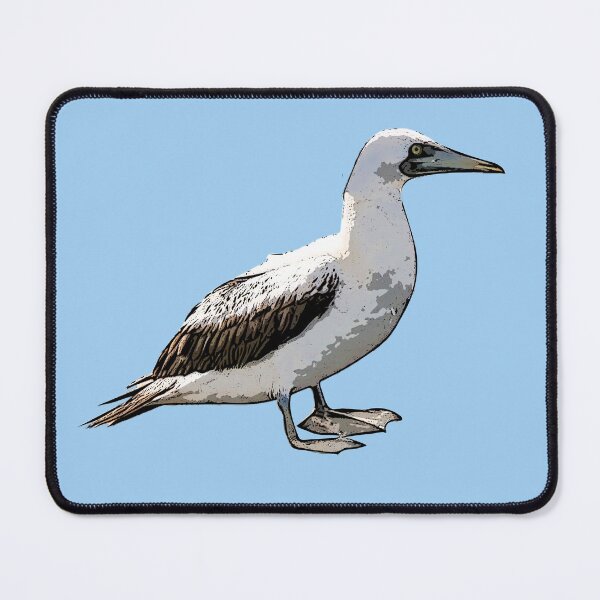 Item preview, Masked Booby Black Alternate Design  designed and sold by designsasstultd.