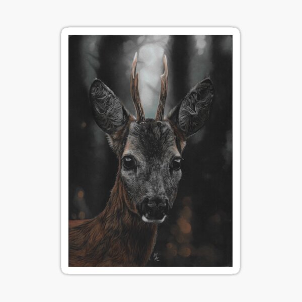 Roe deer stag in dark woodland Sticker