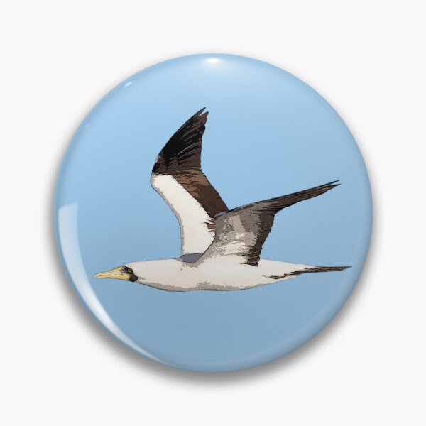 Item preview, Masked Booby Flying Color Design  designed and sold by designsasstultd.