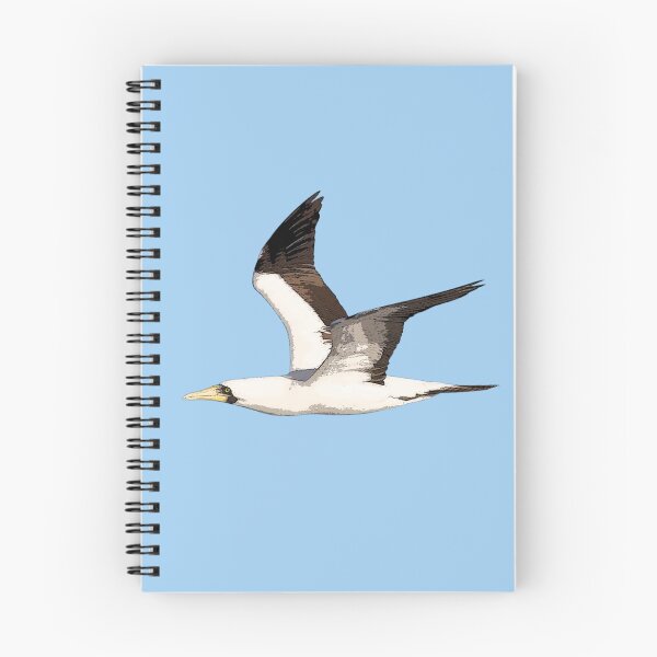 Item preview, Masked Booby Flying Color Design  designed and sold by designsasstultd.