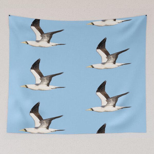 Item preview, Masked Booby Flying Color Design  designed and sold by designsasstultd.