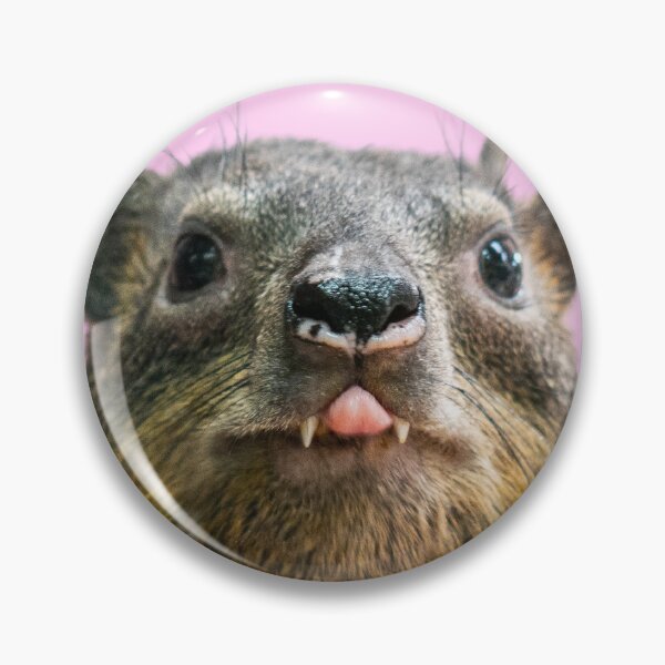 Item preview, Rock Hyrax Photo Cute Vampire Potato II designed and sold by matchamoonshop.