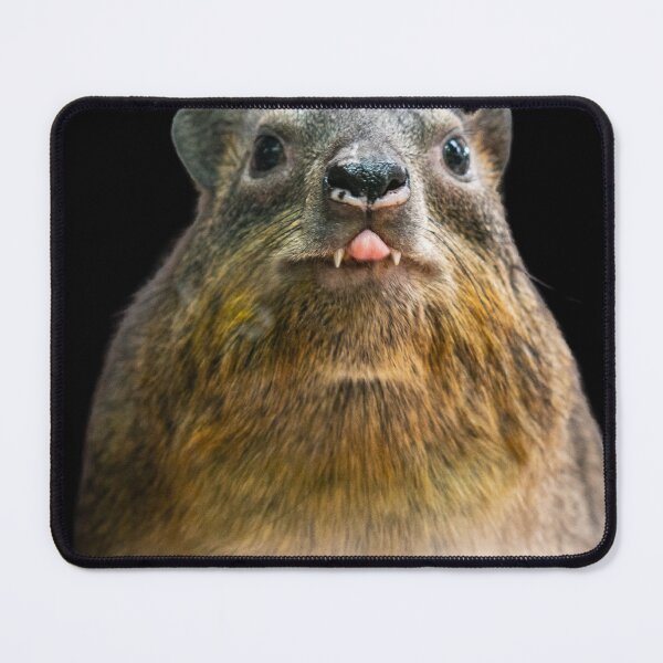Item preview, Rock Hyrax Photo Cute Vampire Potato II designed and sold by matchamoonshop.