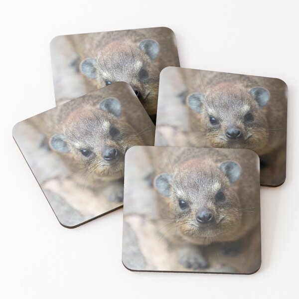 Item preview, Rock Hyrax Photo Cute Vampire Potato III designed and sold by matchamoonshop.