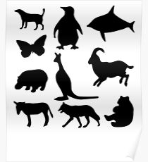 Animals Poster