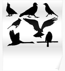 Animals Poster