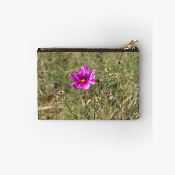 Item preview,  Garden Cosmos "Cosmos bipinnatus" designed and sold by wenzler.