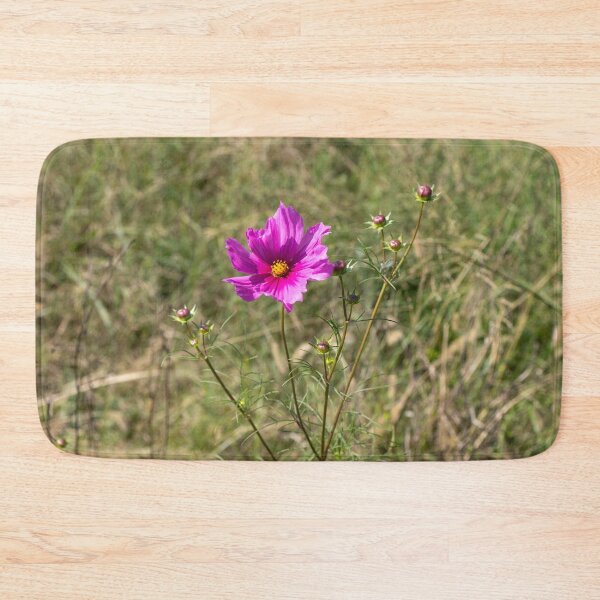 Item preview,  Garden Cosmos "Cosmos bipinnatus" designed and sold by wenzler.