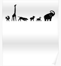 Animals Poster