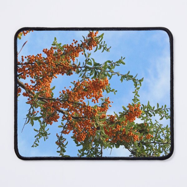 Item preview, Rowan Tree Branch designed and sold by pinkal.