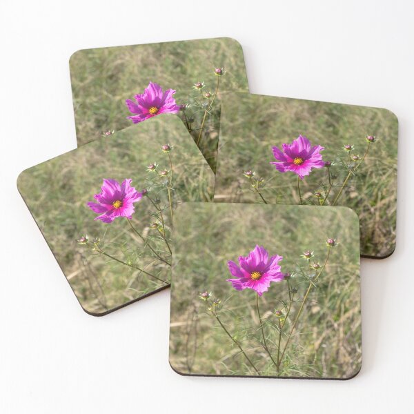 Item preview,  Garden Cosmos "Cosmos bipinnatus" designed and sold by wenzler.