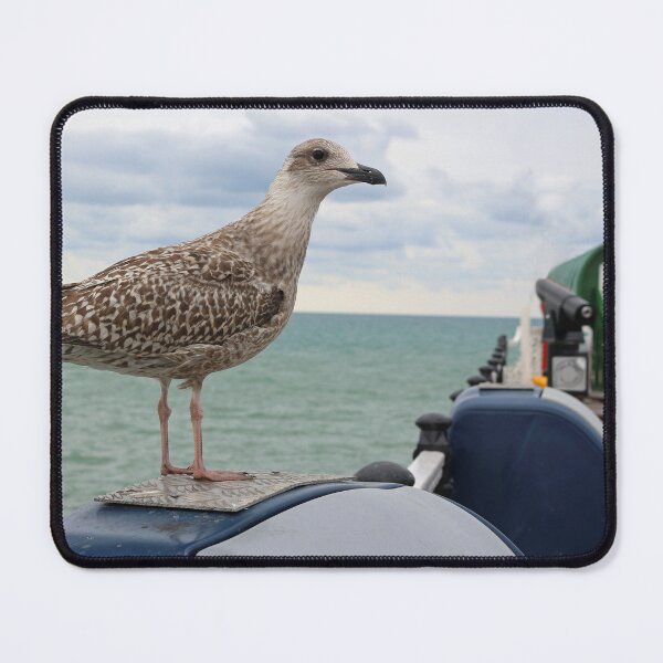 Item preview, Seagull and Vardo designed and sold by pinkal.