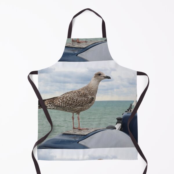 Item preview, Seagull and Vardo designed and sold by pinkal.