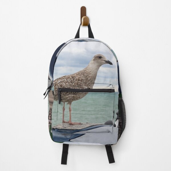 Item preview, Seagull and Vardo designed and sold by pinkal.