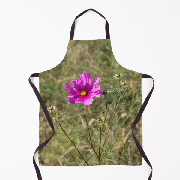 Item preview, Garden Cosmos "Cosmos bipinnatus" designed and sold by wenzler.