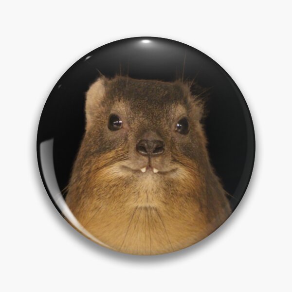 Item preview, Rock Hyrax Photo - Dassie | Cute Vampire Potato designed and sold by matchamoonshop.