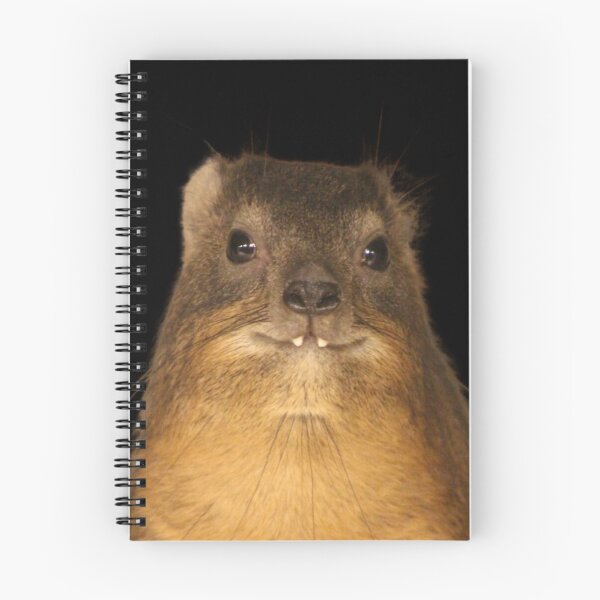 Item preview, Rock Hyrax Photo - Dassie | Cute Vampire Potato designed and sold by matchamoonshop.