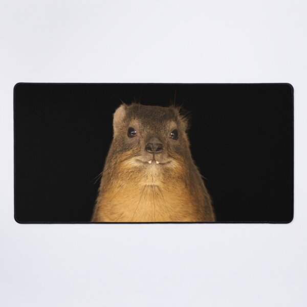 Item preview, Rock Hyrax Photo - Dassie | Cute Vampire Potato designed and sold by matchamoonshop.