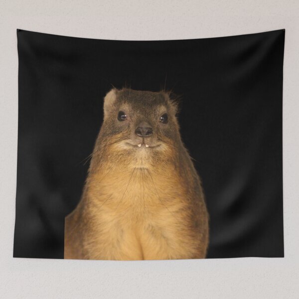 Item preview, Rock Hyrax Photo - Dassie | Cute Vampire Potato designed and sold by matchamoonshop.