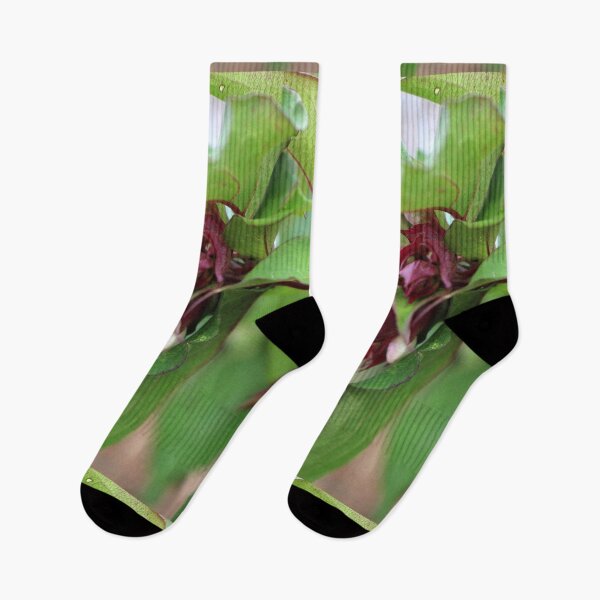 Item preview, Pheasant Berry Flower designed and sold by pinkal.
