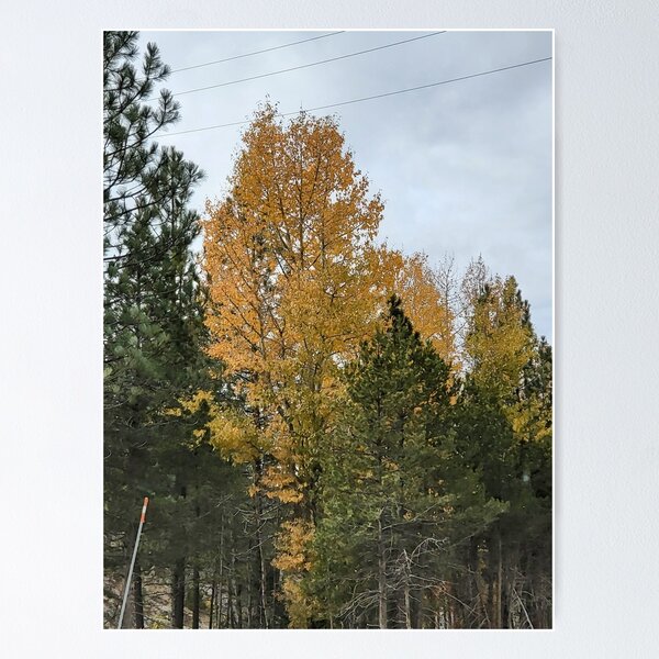 Item preview, South Lake Tahoe in fall storm clouds designed and sold by srcloudsplus.