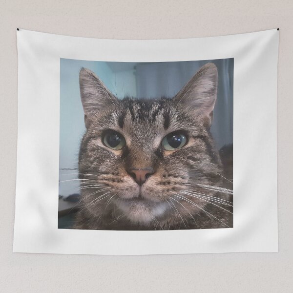 Item preview, My friend's cat designed and sold by jerkypal00.