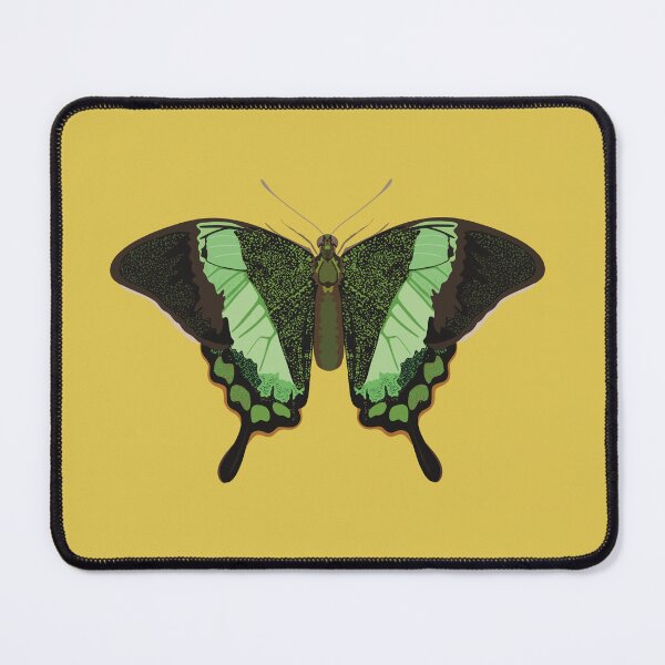 Item preview, E is for Emerald Swallowtail Moth ,Emerald Swallowtail – Striking Green Butterfly Wildlife Illustration designed and sold by PrettylittlepastelUk.