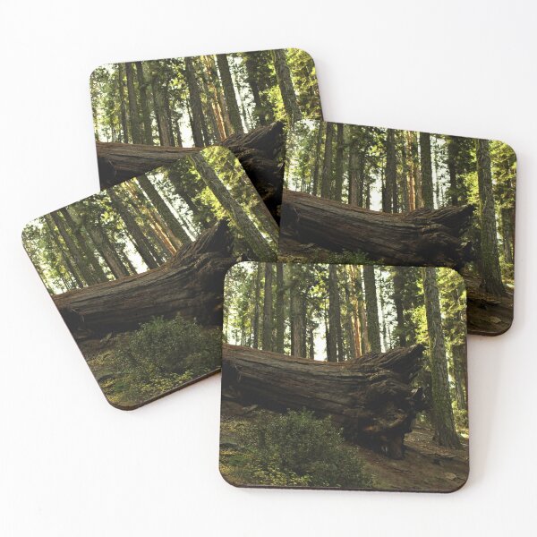Item preview, Sequoia National Park designed and sold by supernova23.