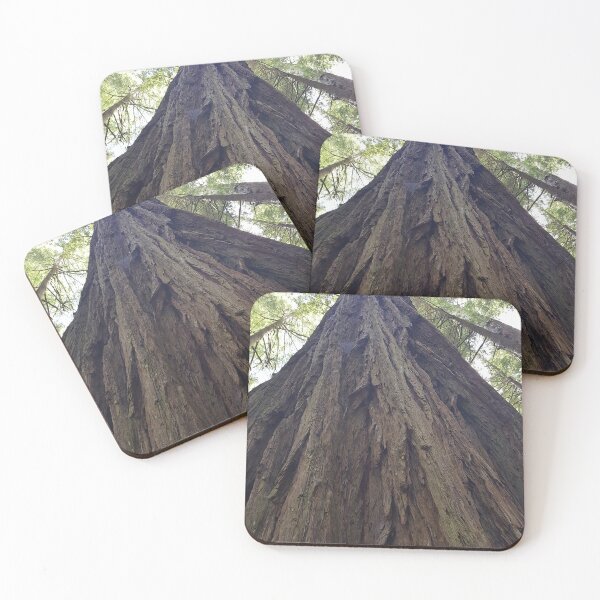 Item preview, A PICTURE OF A BIG OLE REDWOOD I TOOK designed and sold by OuterVoidLabs.