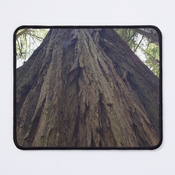Item preview, A PICTURE OF A BIG OLE REDWOOD I TOOK designed and sold by OuterVoidLabs.