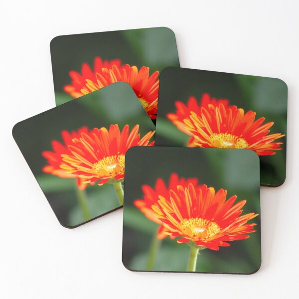 Item preview, Gerber Daisy: A Vibrant Attraction for Pollinators designed and sold by wenzler.