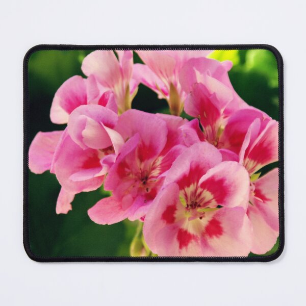 Item preview, Red-Accented Pink Flowers Against Bright Green Leaves designed and sold by CountyKent.