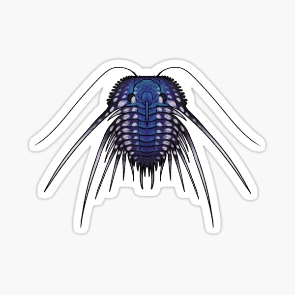 Item preview, Kettneraspis designed and sold by ddinodan.