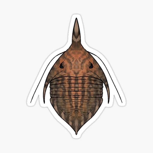 Item preview, Megistapidella designed and sold by ddinodan.