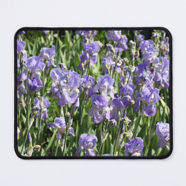 Item preview, Bearded Iris designed and sold by pinkal.