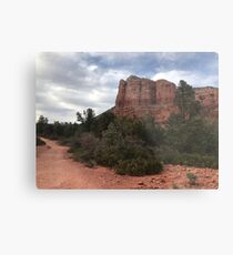 Cliff face outside Sedona Metal Print