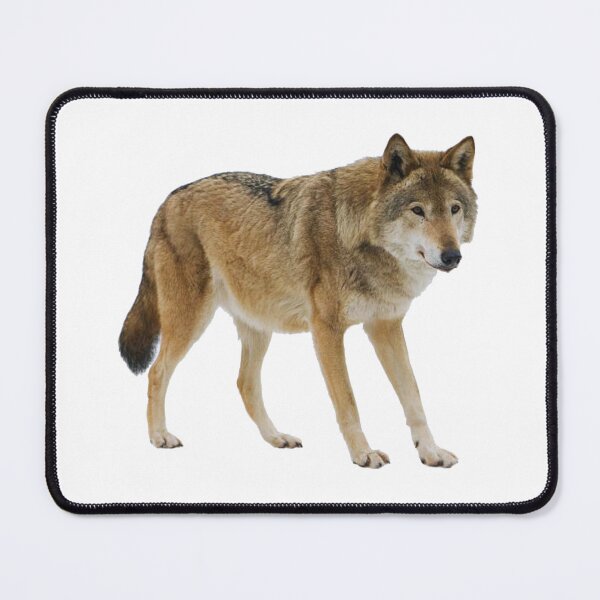 Item preview, A beautiful brown wolf designed and sold by Gold Phoenix Adro.