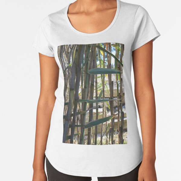 T shirt hot sale en bambou