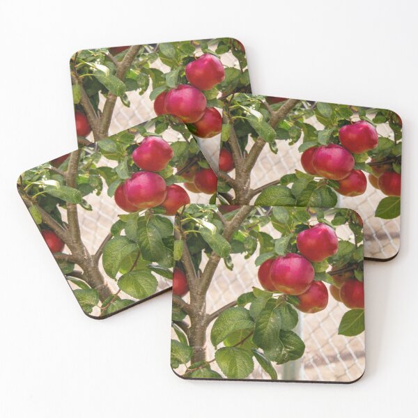 Item preview, Pie Starters designed and sold by Steve Walser.