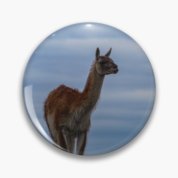 Item preview, Patagonia Guanaco  designed and sold by Lmariage.