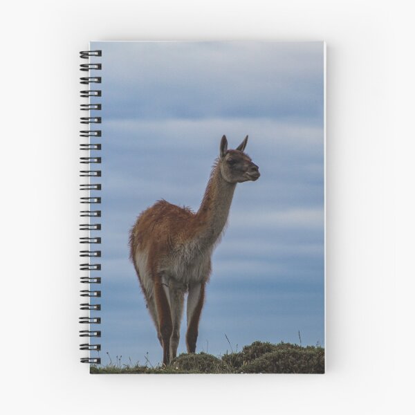 Item preview, Patagonia Guanaco  designed and sold by Lmariage.