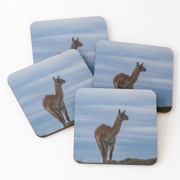 Item preview, Patagonia Guanaco  designed and sold by Lmariage.