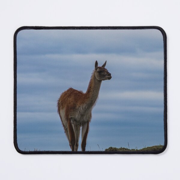 Item preview, Patagonia Guanaco  designed and sold by Lmariage.