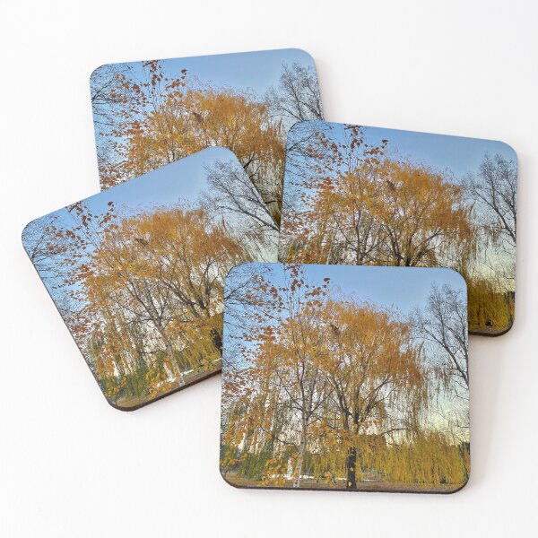 Item preview, Golden Autumn Foliage in Tranquil Park, Charles River Esplanade, 12/1/24 designed and sold by florencemilan.