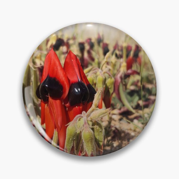 Item preview, Sturt Desert Pea designed and sold by ThornetreeGen.