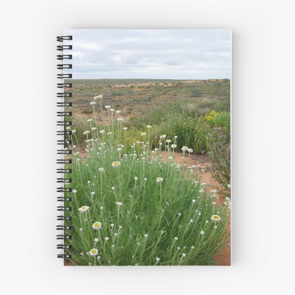 Item preview, Wildflowers of the Simpson Desert designed and sold by ThornetreeGen.