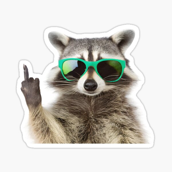 Raccoon Middle Finger Funny Glasses Raccoon Meme Rock Sign Sticker