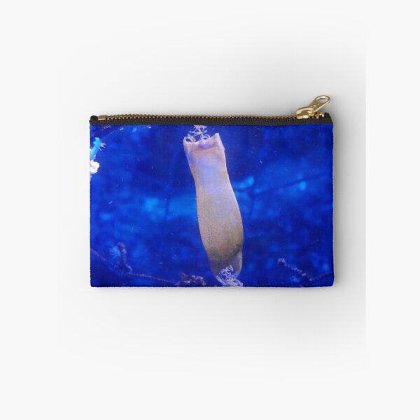 Item preview, Mermaid's Purse designed and sold by Ellen McAleavey.