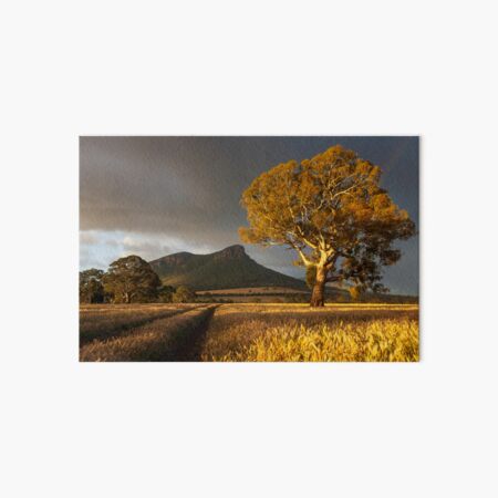 Item preview, Wild Light over the Grampians, Dunkeld, Australia designed and sold by Michael Boniwell.