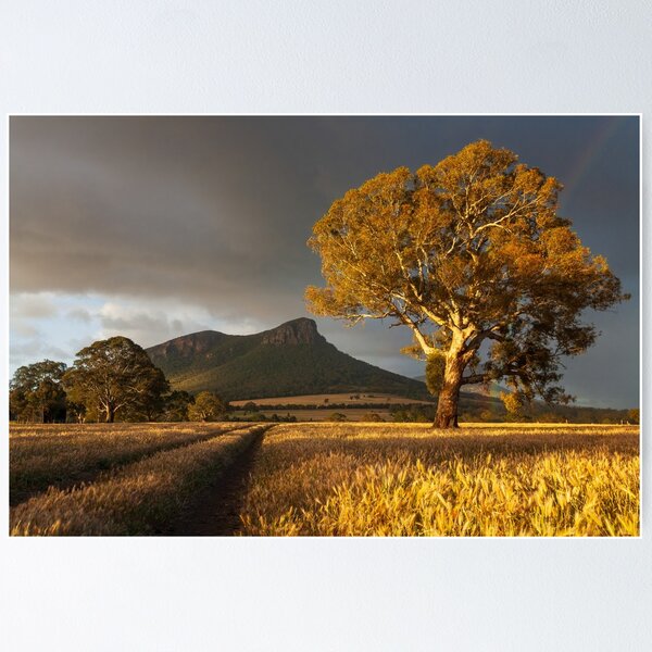 Item preview, Wild Light over the Grampians, Dunkeld, Australia designed and sold by Michael Boniwell.